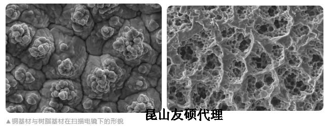 和田蔡司和田扫描电镜