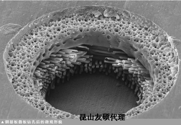 和田蔡司和田扫描电镜